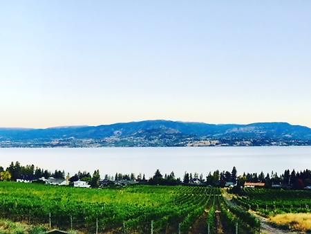 Summerhill Estate House Bed & Breakfast Kelowna Eksteriør bilde
