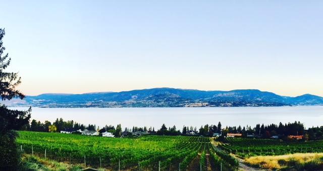 Summerhill Estate House Bed & Breakfast Kelowna Eksteriør bilde
