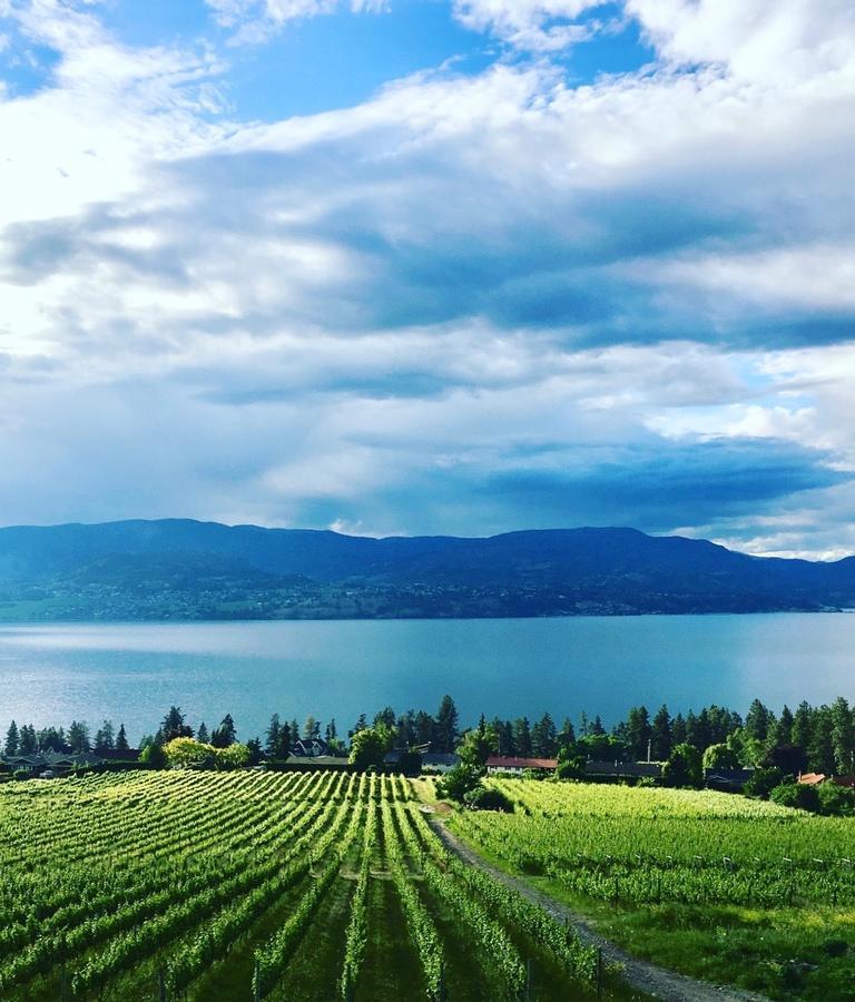Summerhill Estate House Bed & Breakfast Kelowna Eksteriør bilde